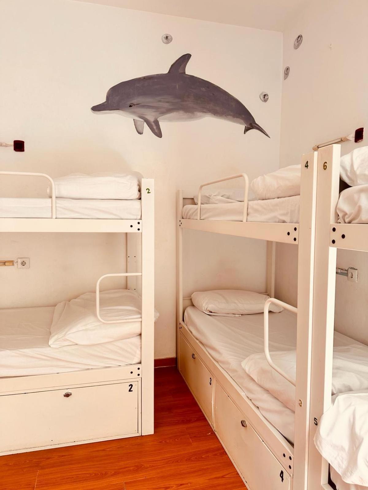 Mediterranean Hostel Barcellona Esterno foto